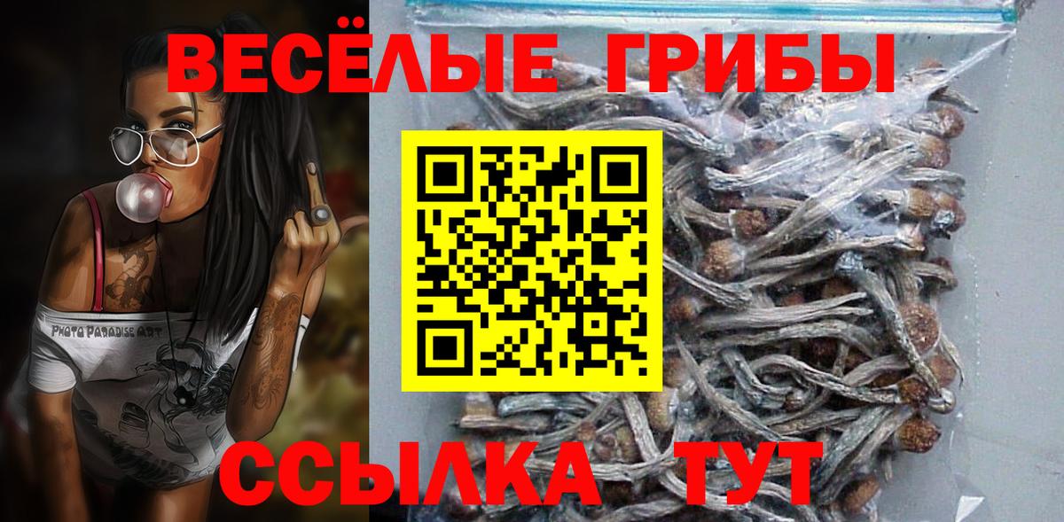 Галлюциногенные грибы GOLDEN TEACHER Клин